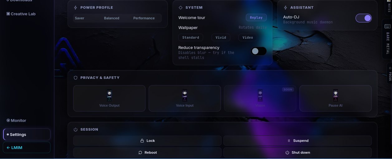Settings panel: Privacy and Safety toggles for Voice Output, Voice Input, Vision, and Pause AI